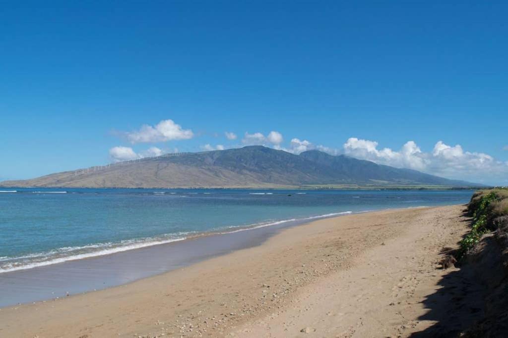 Oceanfront Penthouse With Amazing Views At Kauhale Makai Apartment คิเฮอิ ภายนอก รูปภาพ